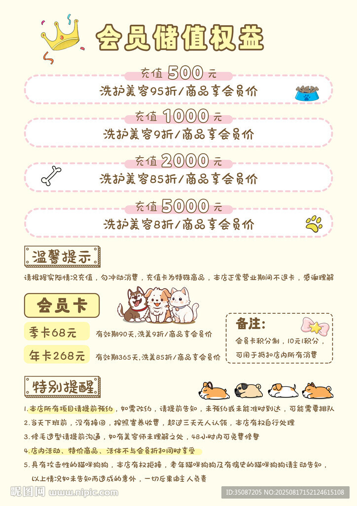宠物