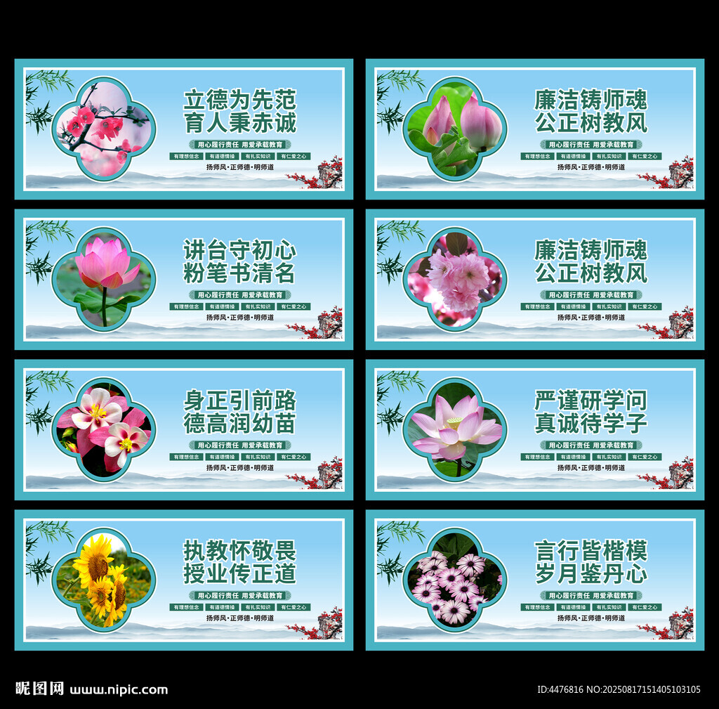 教师展板