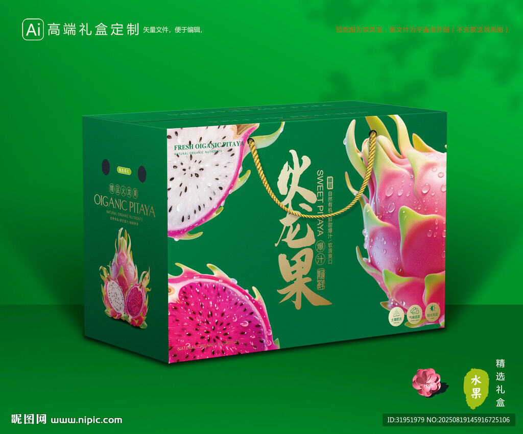 火龙果包装 水果礼盒