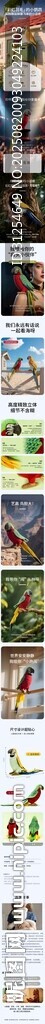 产品详情页设计