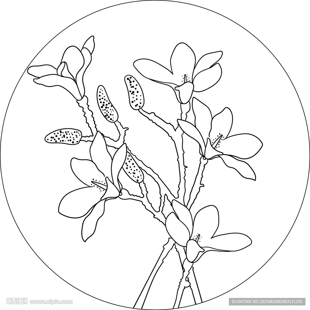 圆形轮廓中的花卉线条画