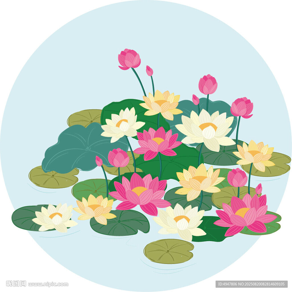 夏日荷塘荷花睡莲插画