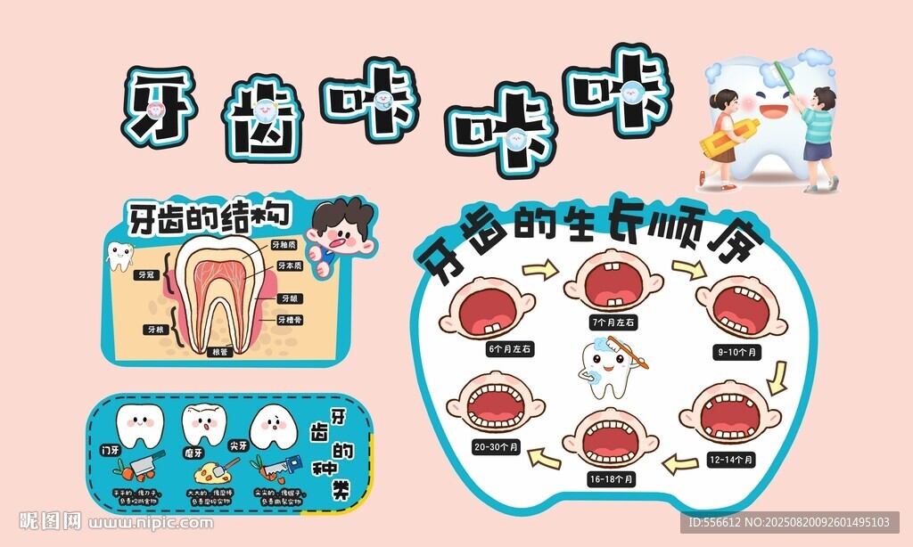 牙齿