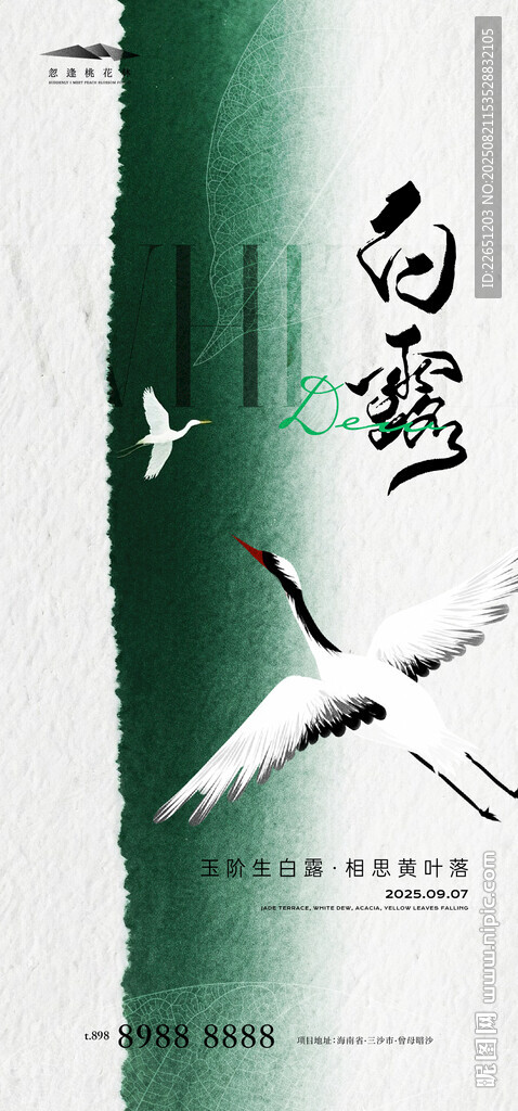 白露