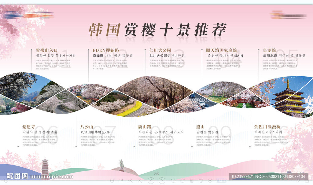韩国十大赏樱景观展示
