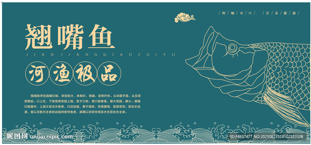 翘嘴鱼
