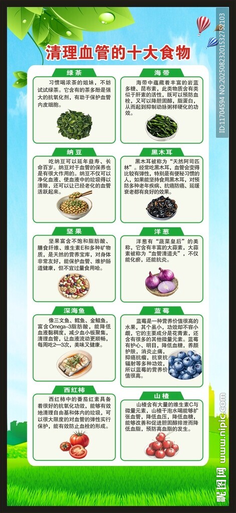 血管健康日展架