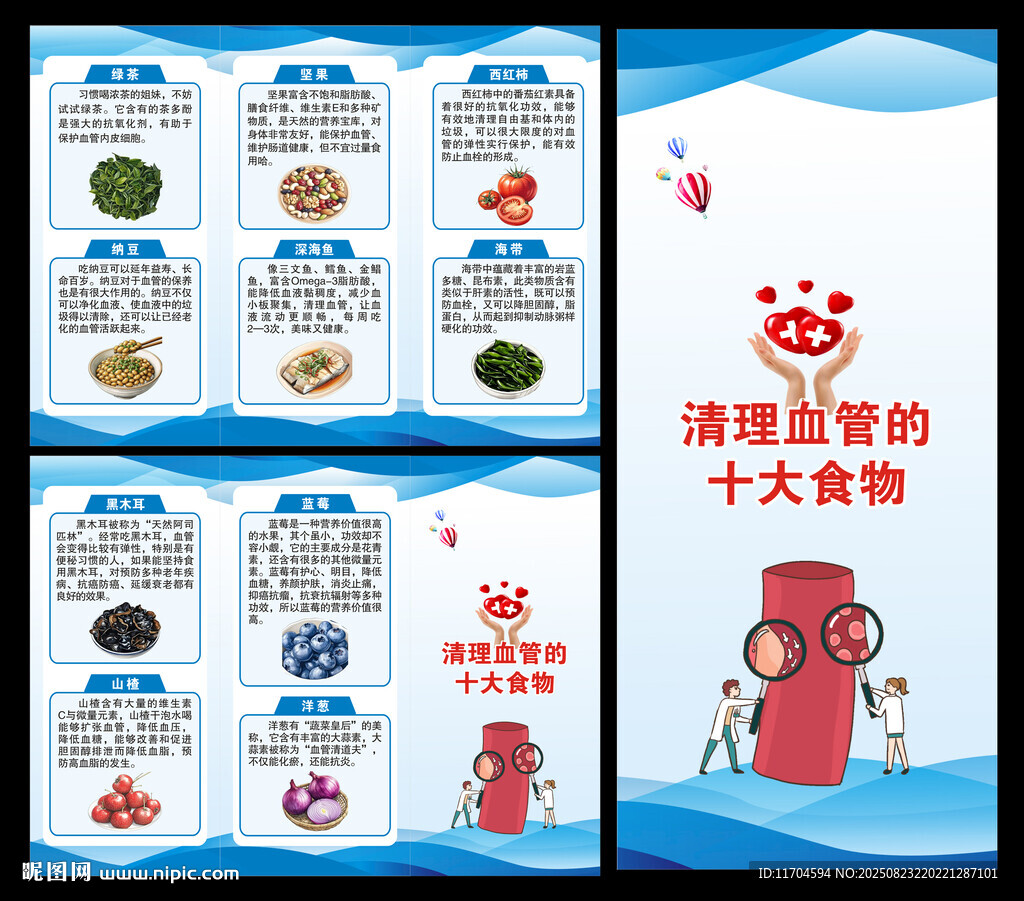 血管健康日三折页
