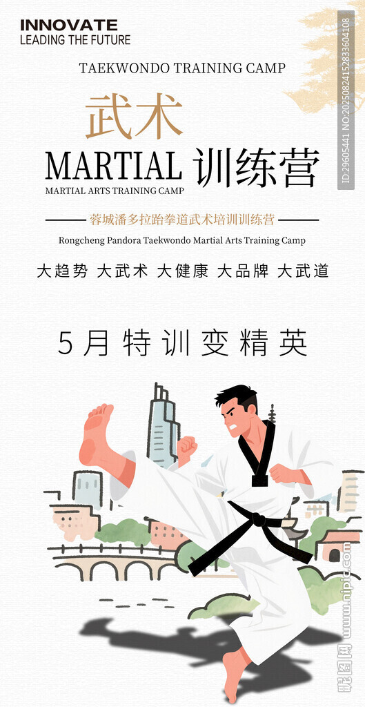 武术跆拳道海报