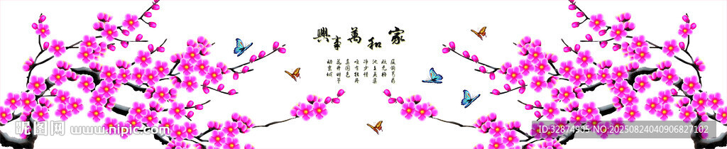 烂漫樱花绽放