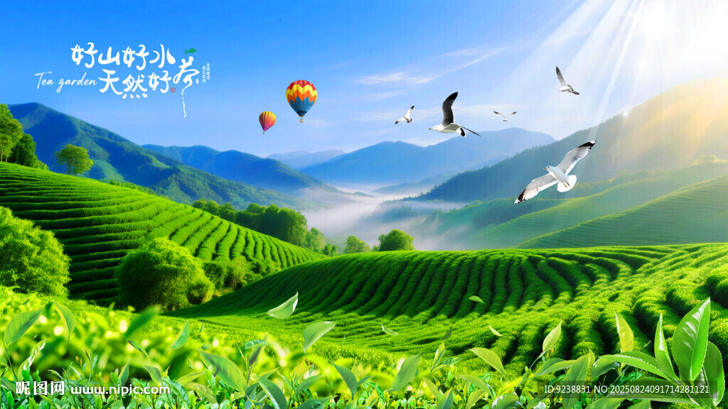 茶园