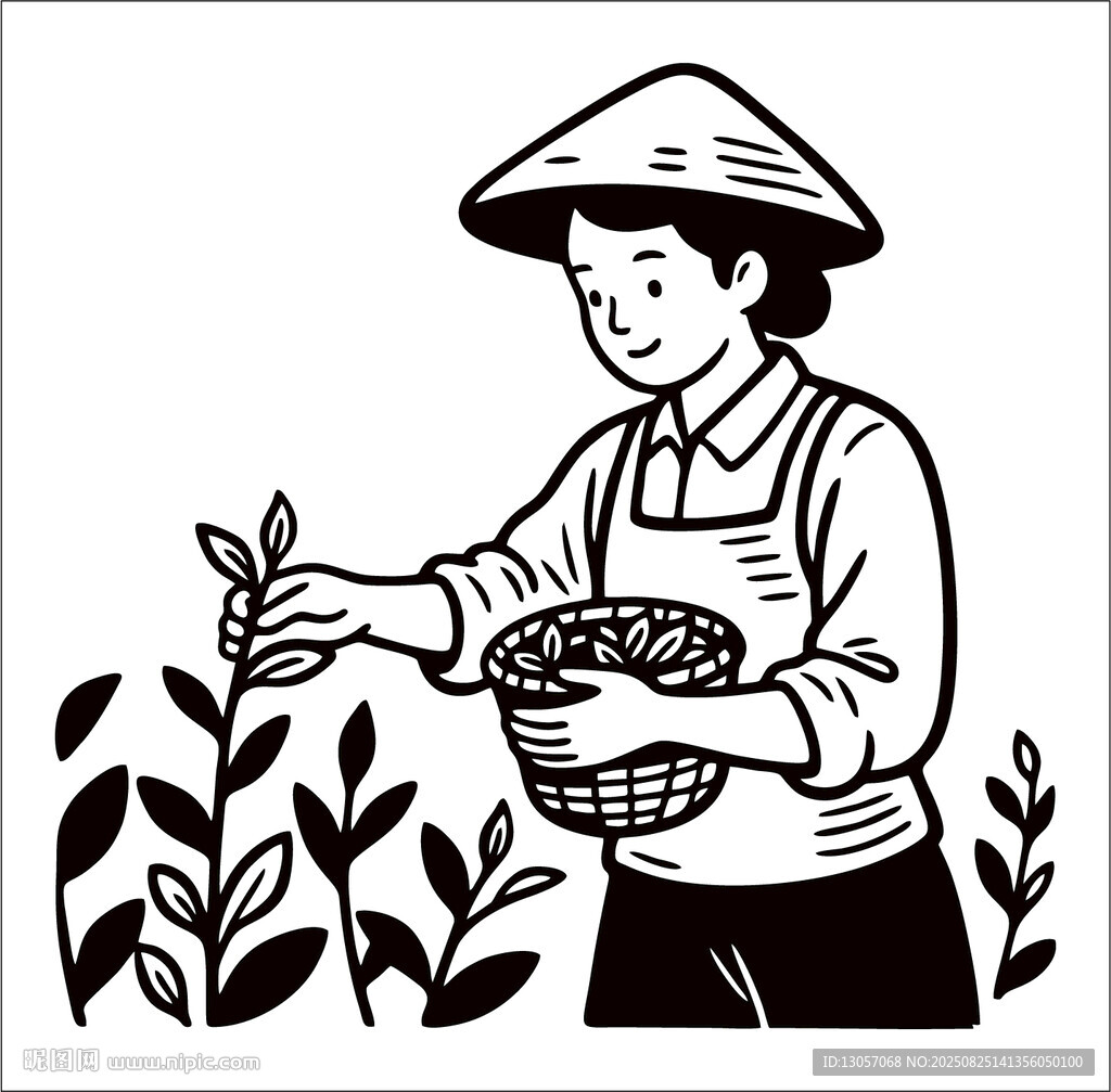 采茶女劳作场景