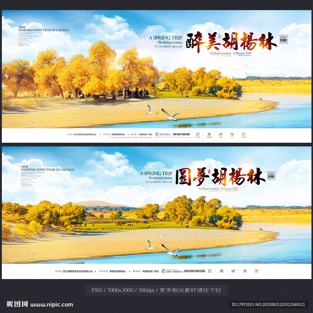 胡杨林