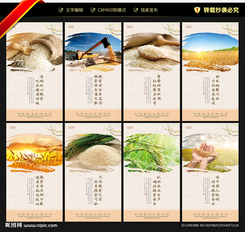 节约粮食展板