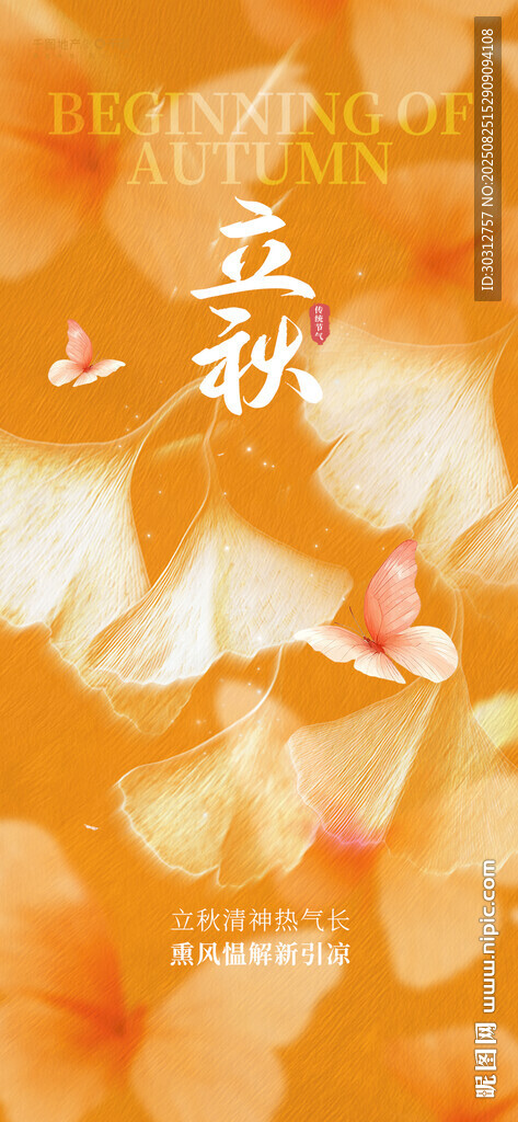 立秋时节的唯美花卉画面