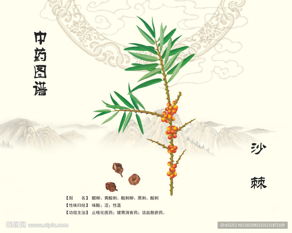 沙棘中药沙棘