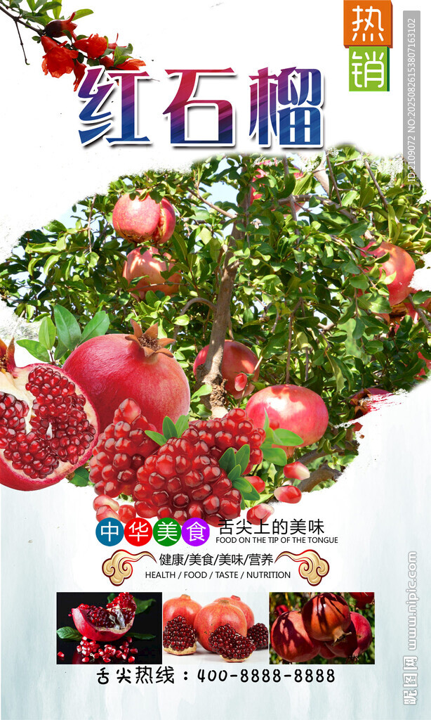 石榴  