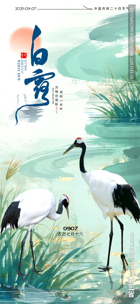 白露海报图片