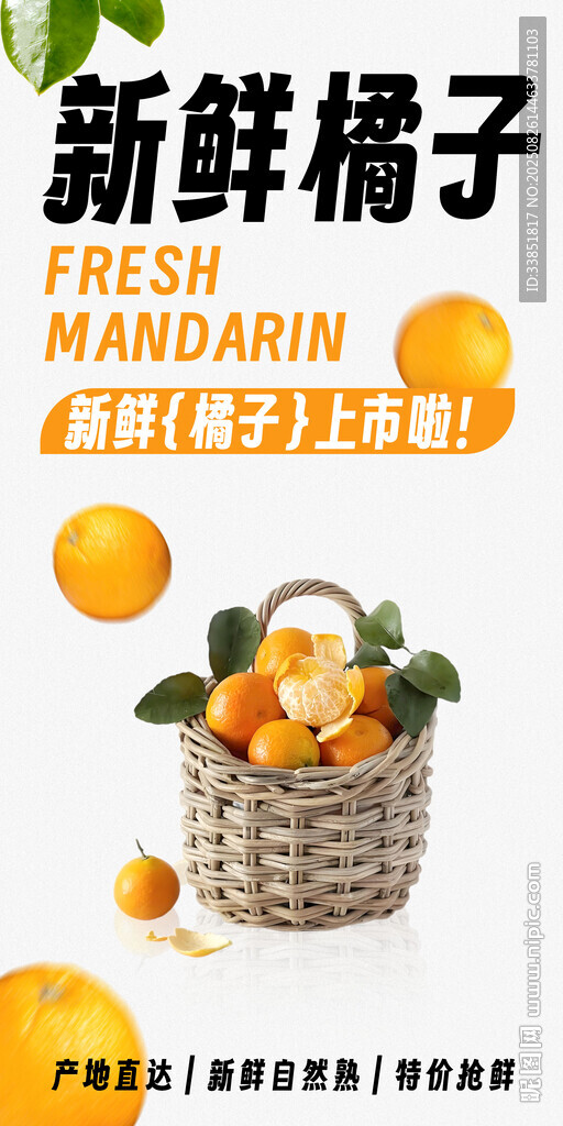 橘子海报