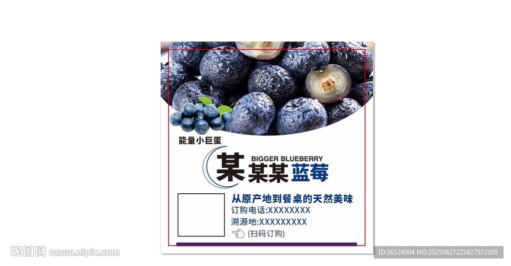 蓝莓包装盒展示