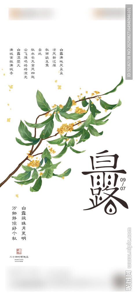 白露