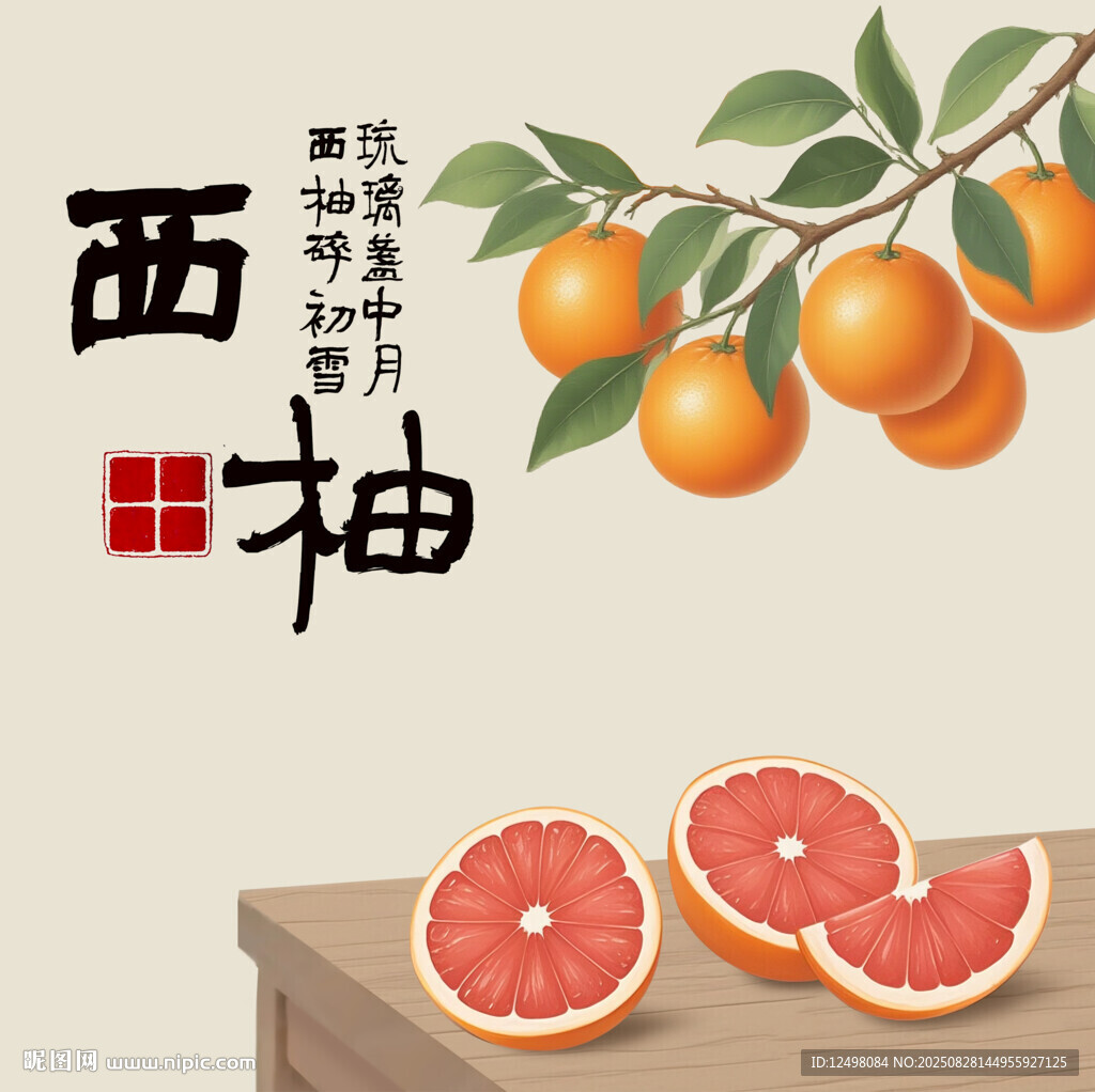 手绘西柚