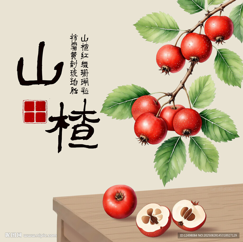 手绘山楂
