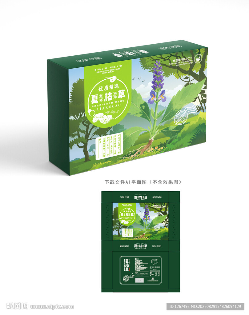 夏枯草设计