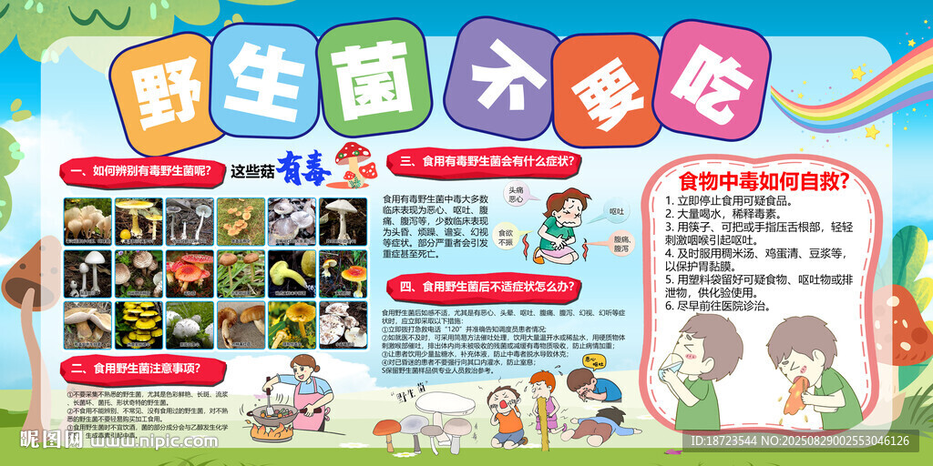 野生菌 不要吃