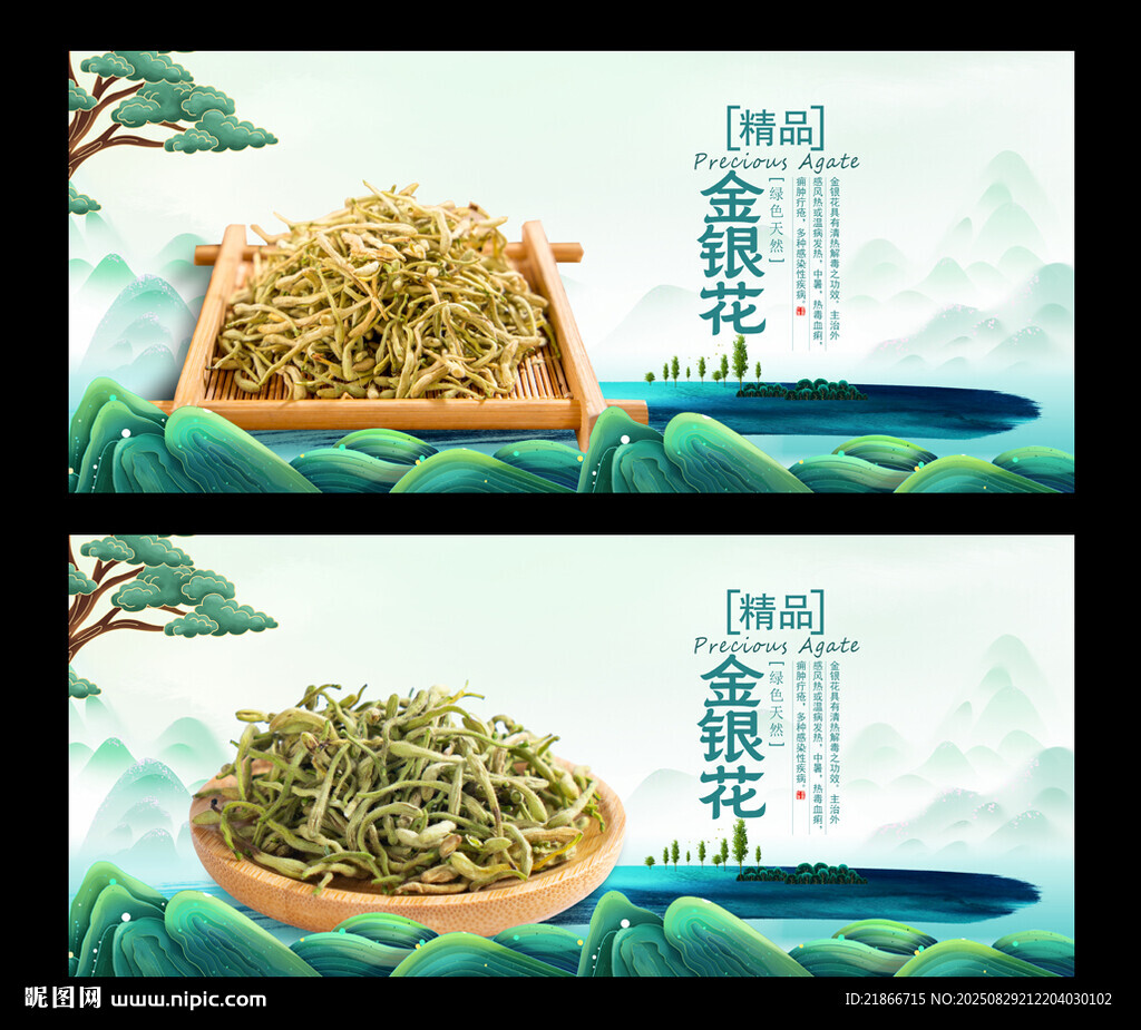 金银花