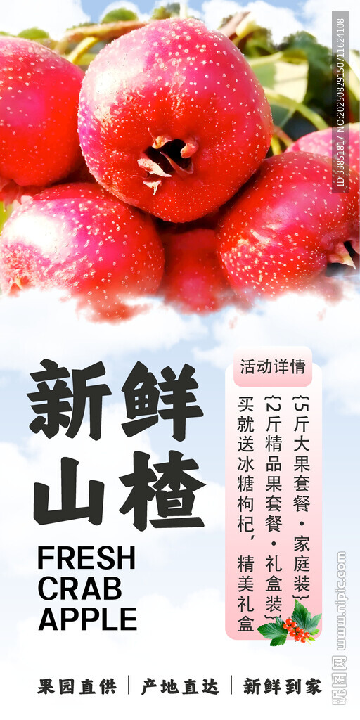 山楂