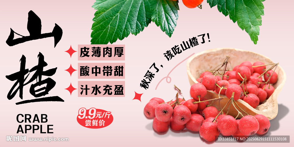 山楂