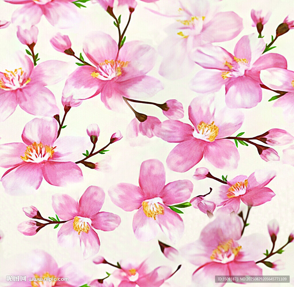 粉色烂漫樱花花卉图案