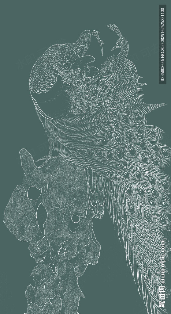 孔雀太湖石玄关装饰画