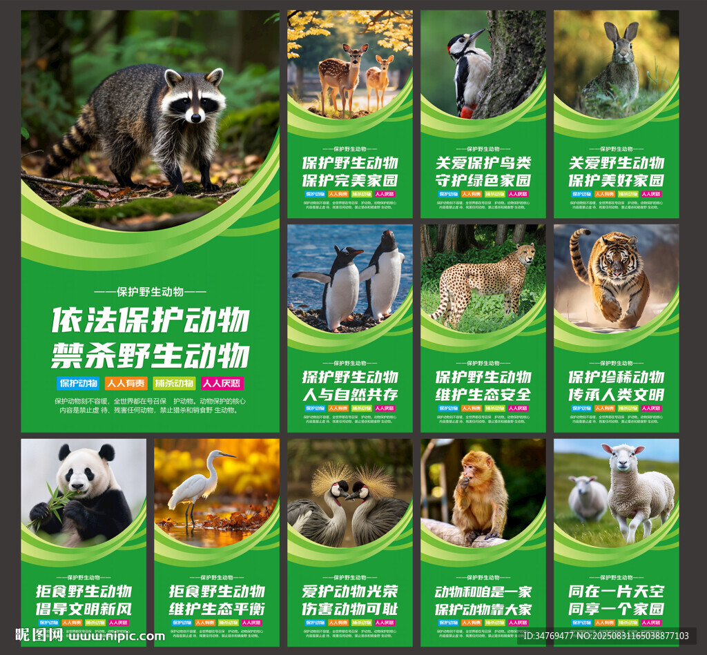 保护动物图片