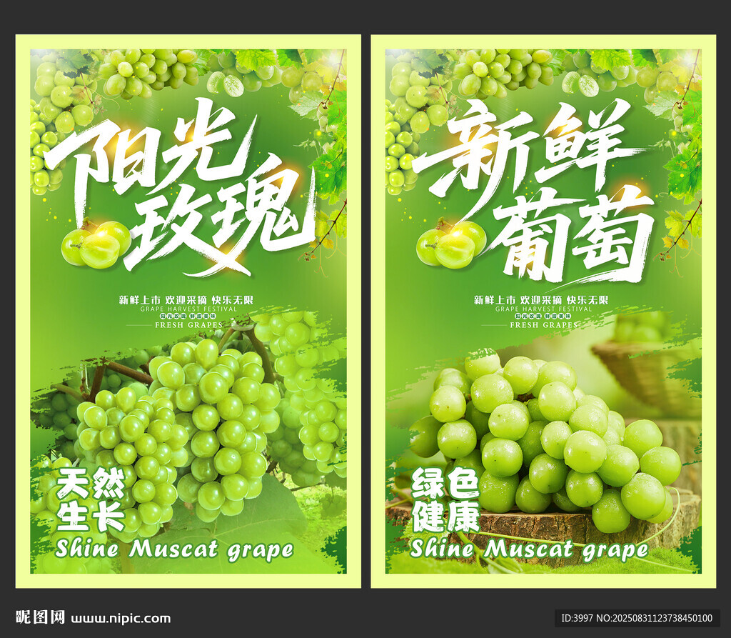 阳光玫瑰