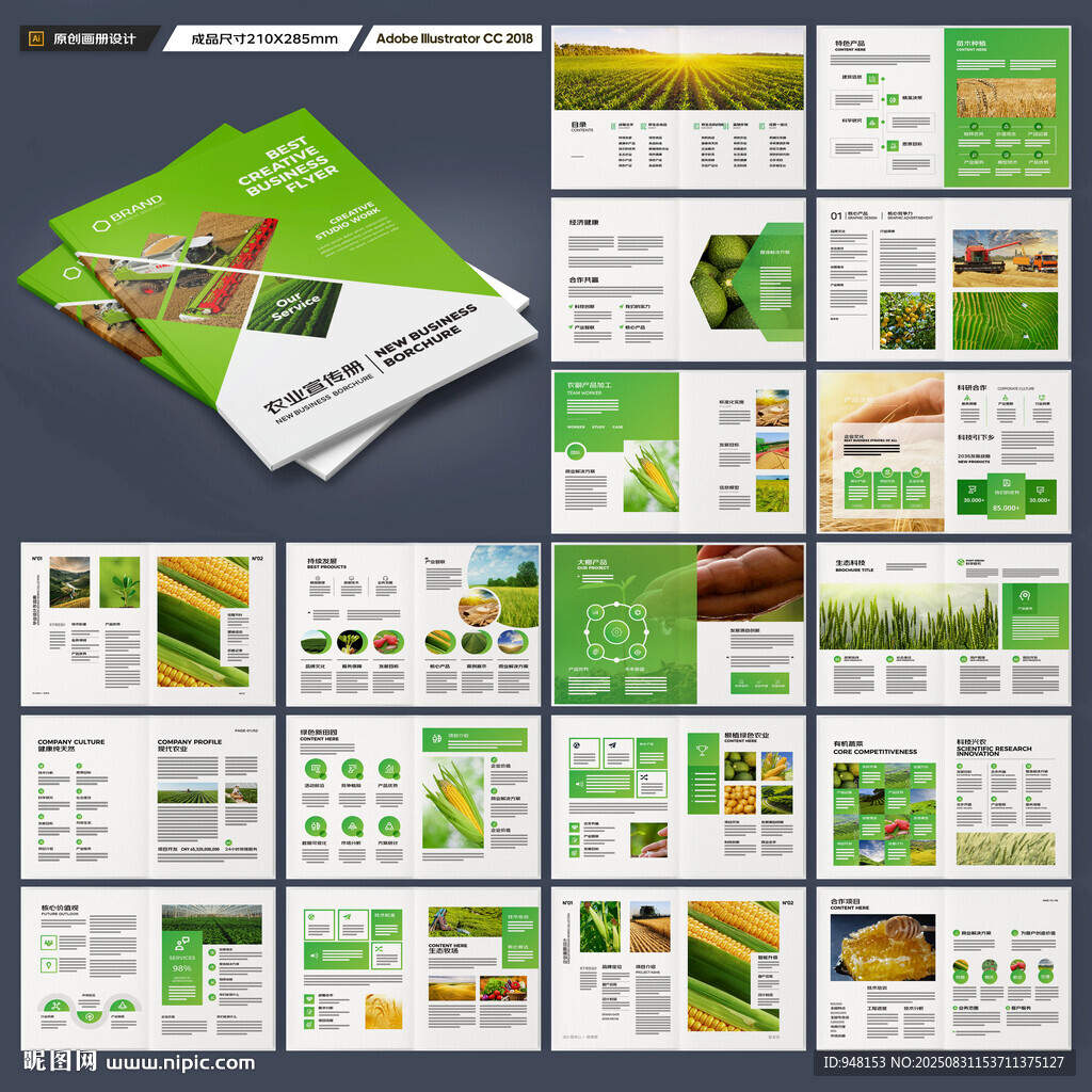 农产品宣传册