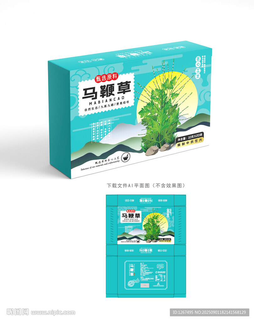 马鞭草设计