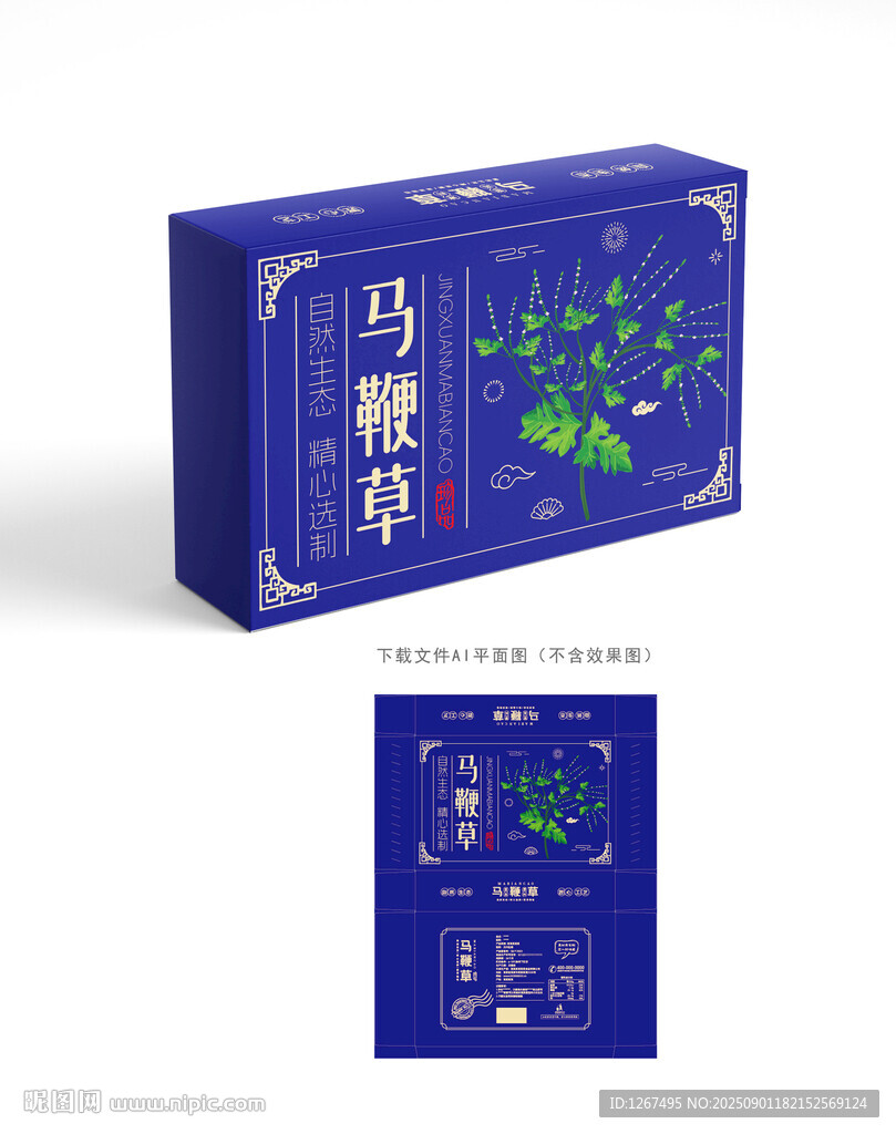 马鞭草设计