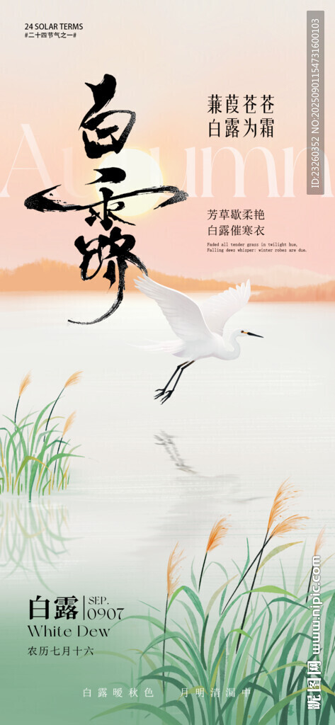 白露节气海报白鹭诗意自然海报