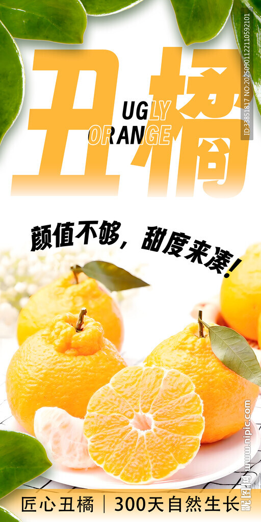 丑橘 