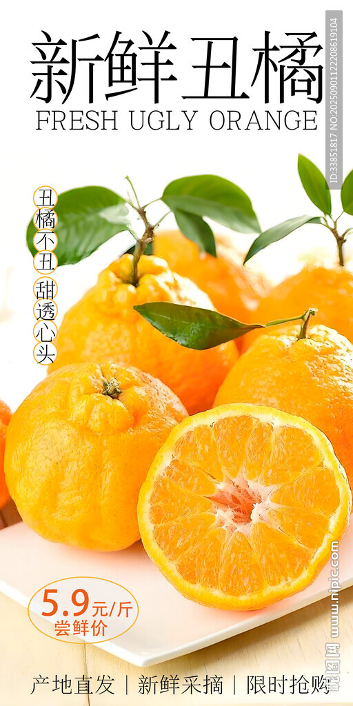 丑橘