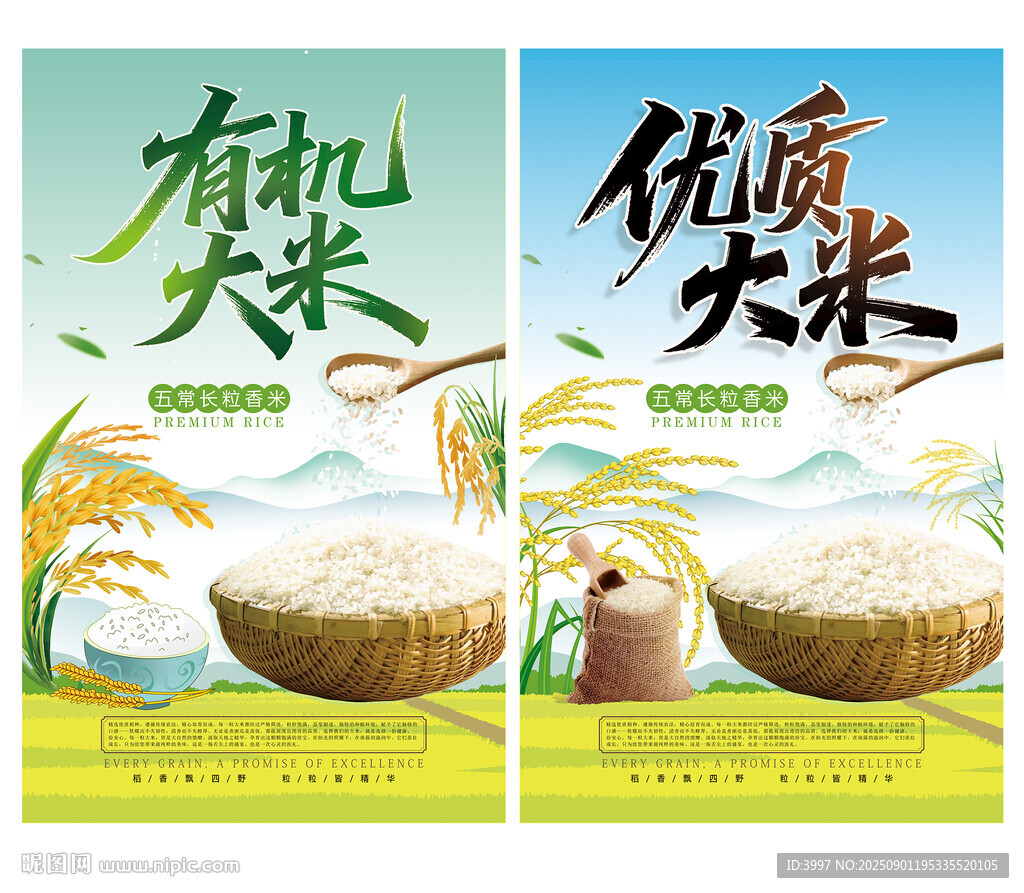 大米