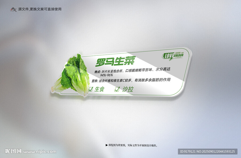 生菜