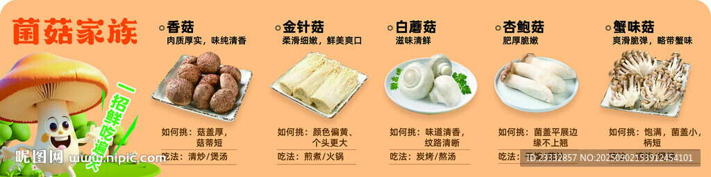 菌菇大全