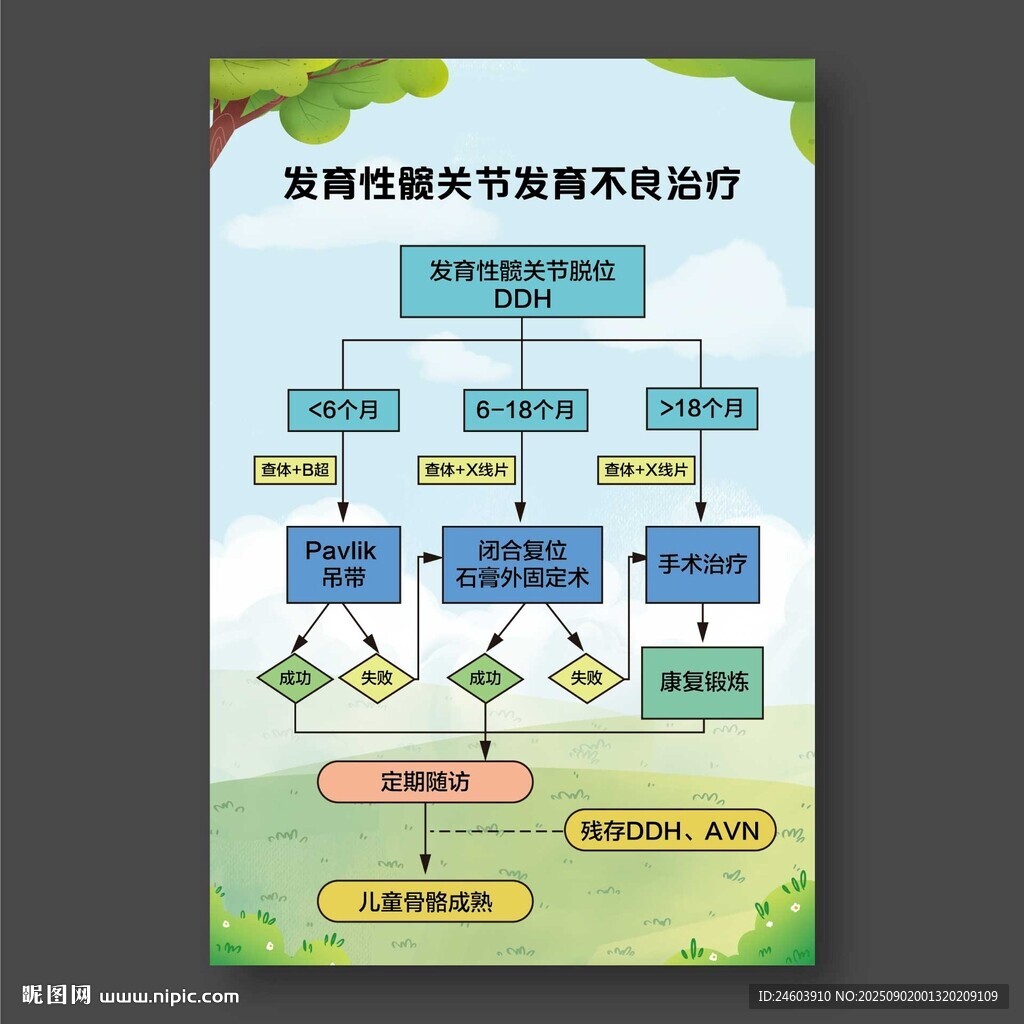 发育性髋关节发育不良治疗