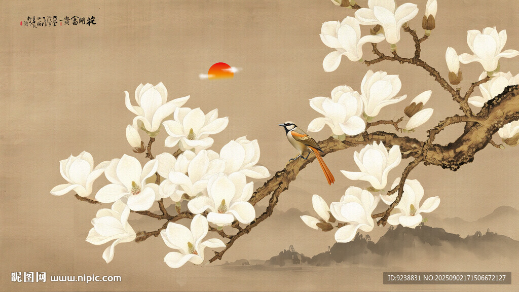 国画玉兰花