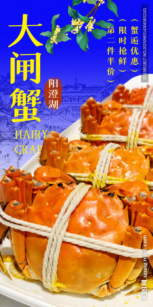 大闸蟹 