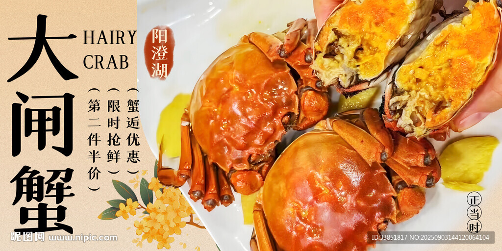大闸蟹