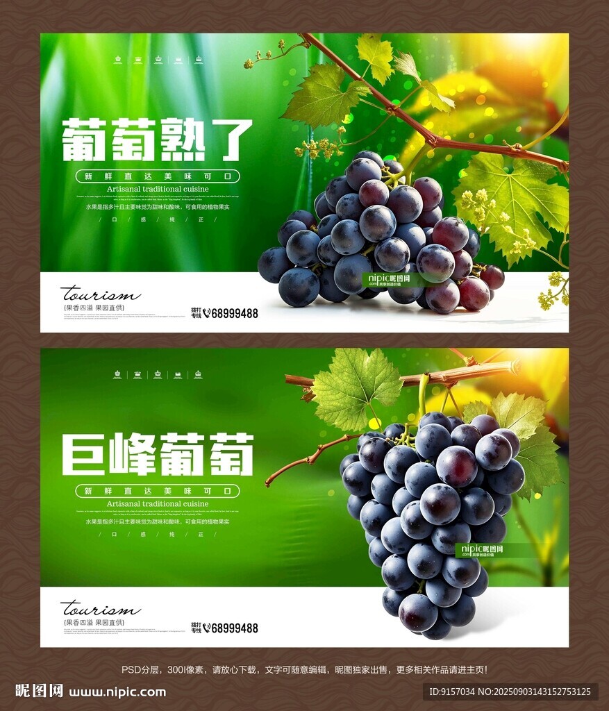 巨峰葡萄海报